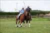 UKPA  NC Sat_1159